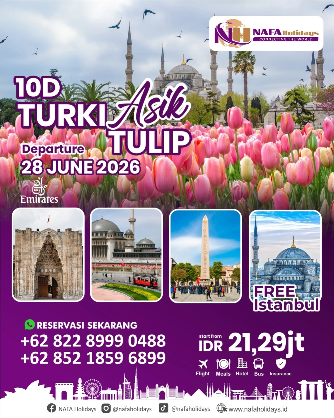 10D TURKI ASIK TULIP